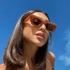 Princess Polly Care For You Sunglasses  Brown Flash Sale