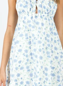 Princess Polly Empress Of Love Mini Dressfloral   Blue Clearance