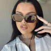 Princess Polly Hampshire Sunglasses  Tort Store