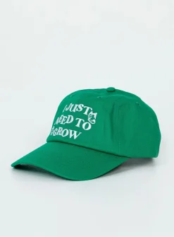 Princess Polly Need To Grow Dad Cap Green Discount